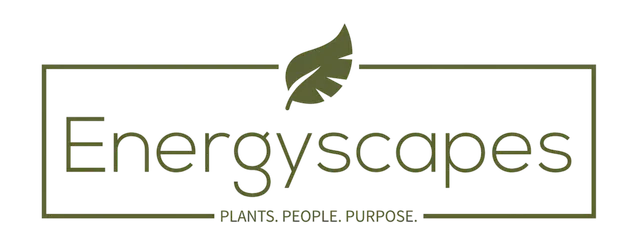 Energyscapes logo
